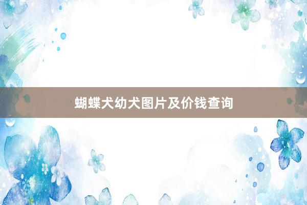 蝴蝶犬幼犬图片及价钱查询